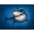 thumbnail image 2 of LaMontagne, Patrick 24x19 White Modern Wood Framed Museum Art Print Titled - Shark Totem, 2 of 4