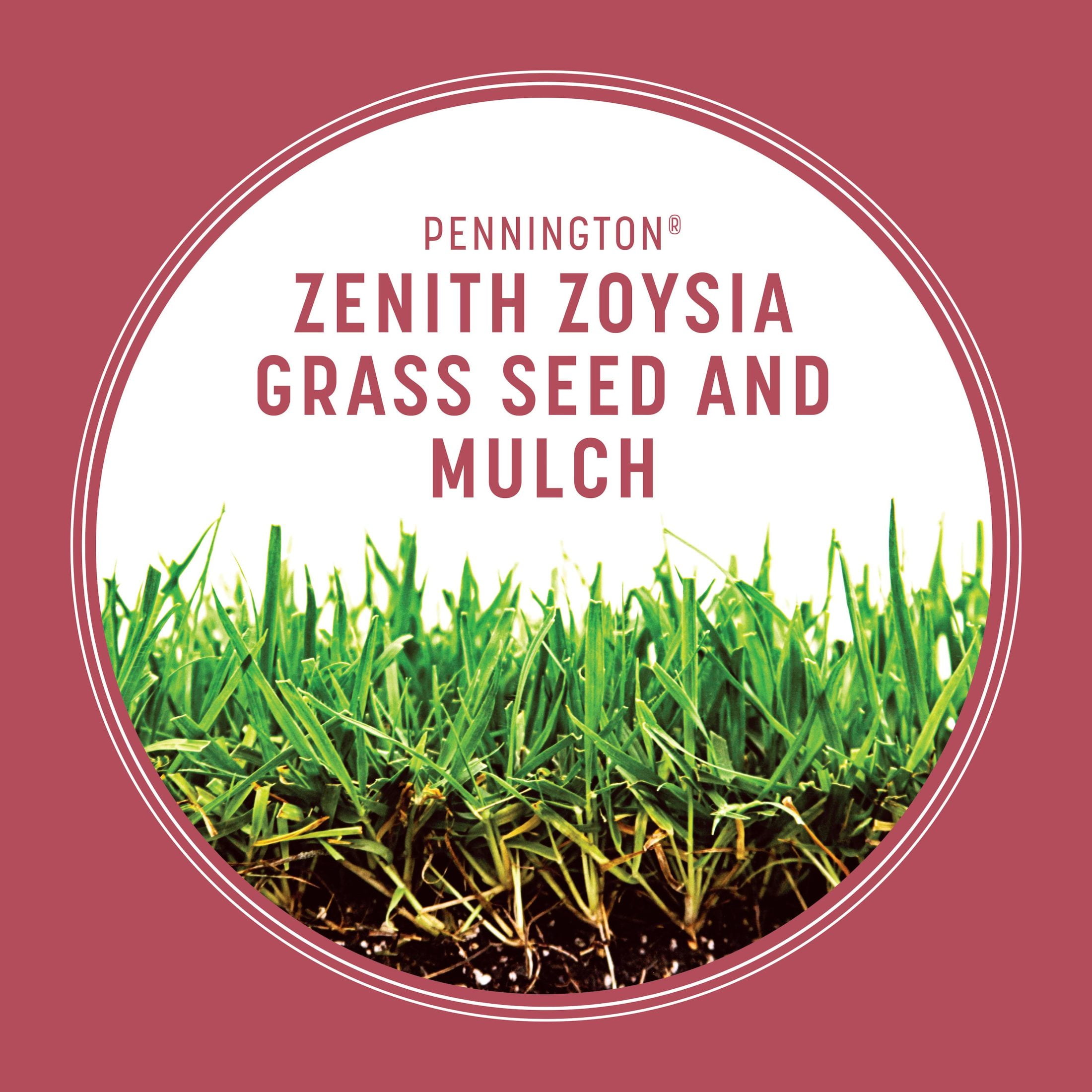 Pennington Zoysia Grass Seed with Mulch, for Sun to Partial Shade