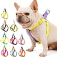 thumbnail image 2 of AYYUFE Anti-pull Pet Chest Strap Multi-color Anti-escape Adjustable Fashion Pet Harness Traction Leash for Outdoor, 2 of 8