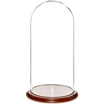 Plymor 9.75" x 20" Glass Display Dome Cloche (Walnut Veneer Base)