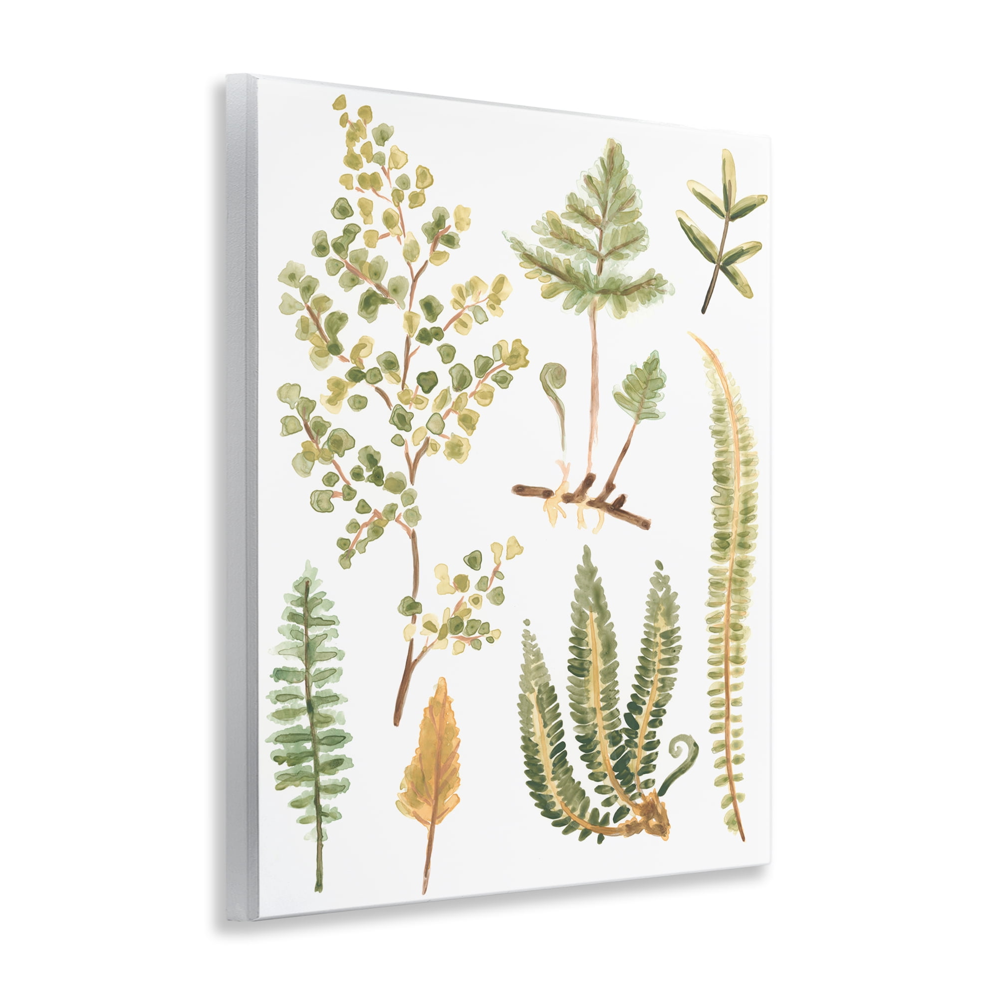 Stupell Industries Wild Forest Ferns Botanical & Floral Painting Unframed Art Print Wall Art, 11 x 14