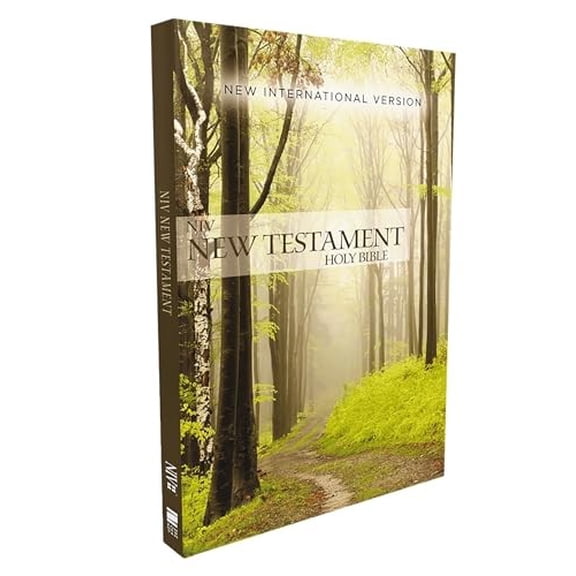 Pre-Owned Outreach New Testament-NIV (Paperback) 0310446392 9780310446392