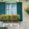 thumbnail image 5 of Deago 12 Bundles Artificial Grass Fake Plants 17in Outdoor Plastic UV Resistant Greenery Fake Grass for Home Window Garden Office Patio Decor, 5 of 7
