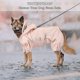 thumbnail image 3 of Chubasquero para perros con capucha, abrigo impermeable para perros mascota, ajustable, ligero, para exteriores, kaili Sencillez, 3 of 5