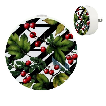 

YZUOUZY Night Light Night Lights Small Bedside Lamps Set of 2 Blackberry Berries Fruit