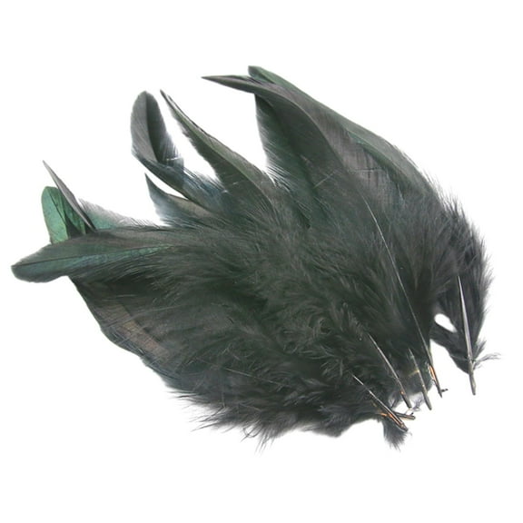 Rushay 50 Pieces Feathers for Crafts Chicken Feather Decorations Handicraft Accessories Black