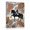 D, variant on XaaKee Sienna Trails Dressage Horse Canvas Wall Art White Mare Art Prints Rustic Sienna Mosaic Canvas Prints Wall Art Inner Framed 18*12Inch