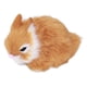 thumbnail image 5 of Mini conejos de peluche Sincero cómodos y duraderos naranja, 5 of 10