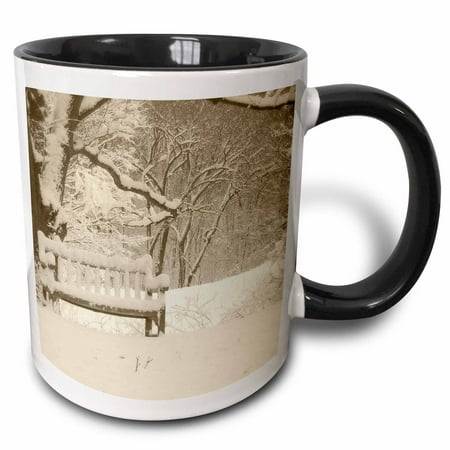 

3dRose Nichols Arboretum 1 sepia tone print of winter scene after snowfall in Ann Arbor MI - Two Tone Black Mug 11-ounce