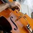 thumbnail image 2 of 2PCS Wolf Tone Eliminator Cello Adjustable Wolf Tone Mute Instrument Accessory, 2 of 6