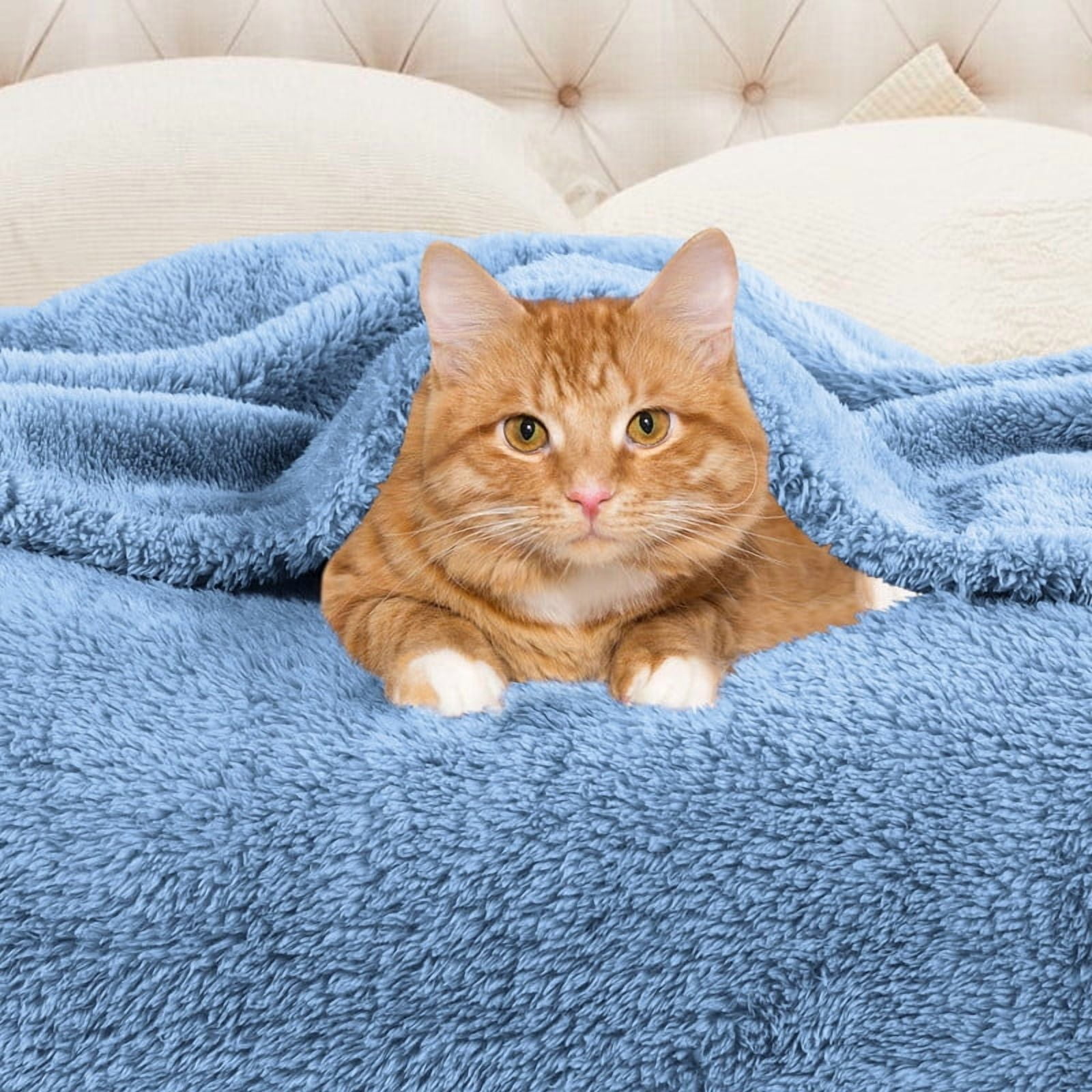 Superior Super Soft Plush Fleece Blanket 50" x 70", Bed & Couch Blankets, Throw XL, Blue