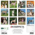 thumbnail image 2 of Willow Creek Press, Whippets 2025 Wall Calendar, 2 of 4