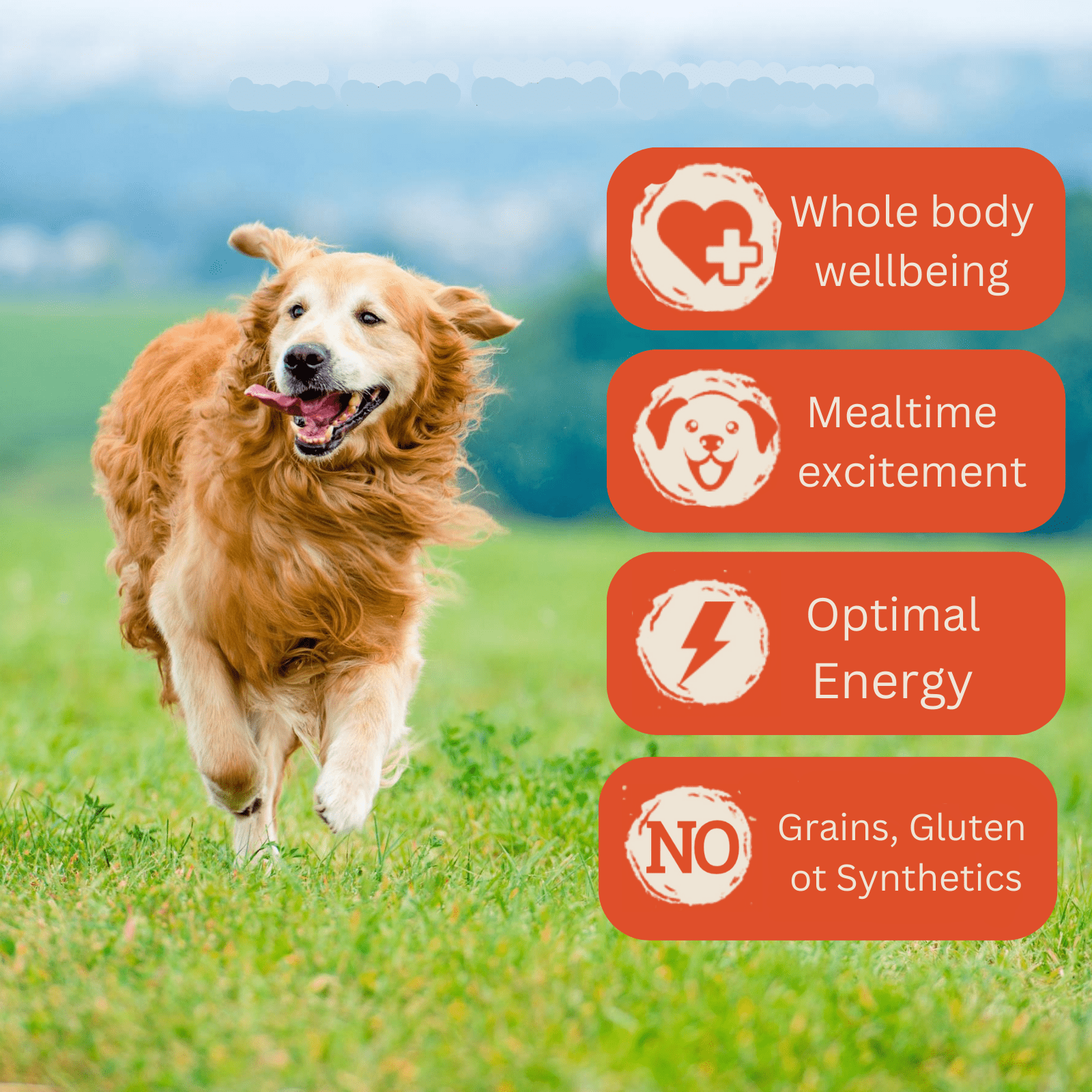 Hereford Farms 100% Salmon Wet Dog and Cat Food exclusive of water, Protein-rich Mixer and Topper, 12 Pack