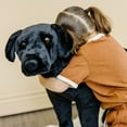 thumbnail image 4 of Melissa & Doug Giant Black Lab - Lifelike Stuffed Animal Dog (over 2 feet tall), 4 of 9