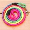 thumbnail image 1 of Flmtop Colorful Traction Rope Nylon Walking Leash Training Lead Strap for Pet Dog Puppy Multicolor, 1 of 6