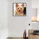 thumbnail image 3 of Kit de pintura de diamante 5D Yorkshire Terrier taladro cuadrado completo DIY arte artesanía mosaico Hugtrwg Para estrenar, 3 of 9