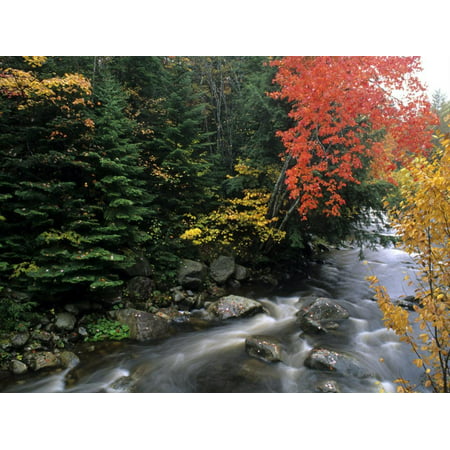 Moving Stream And Fall Colors, Groton, Vermont, USA Print Wall Art By Bill