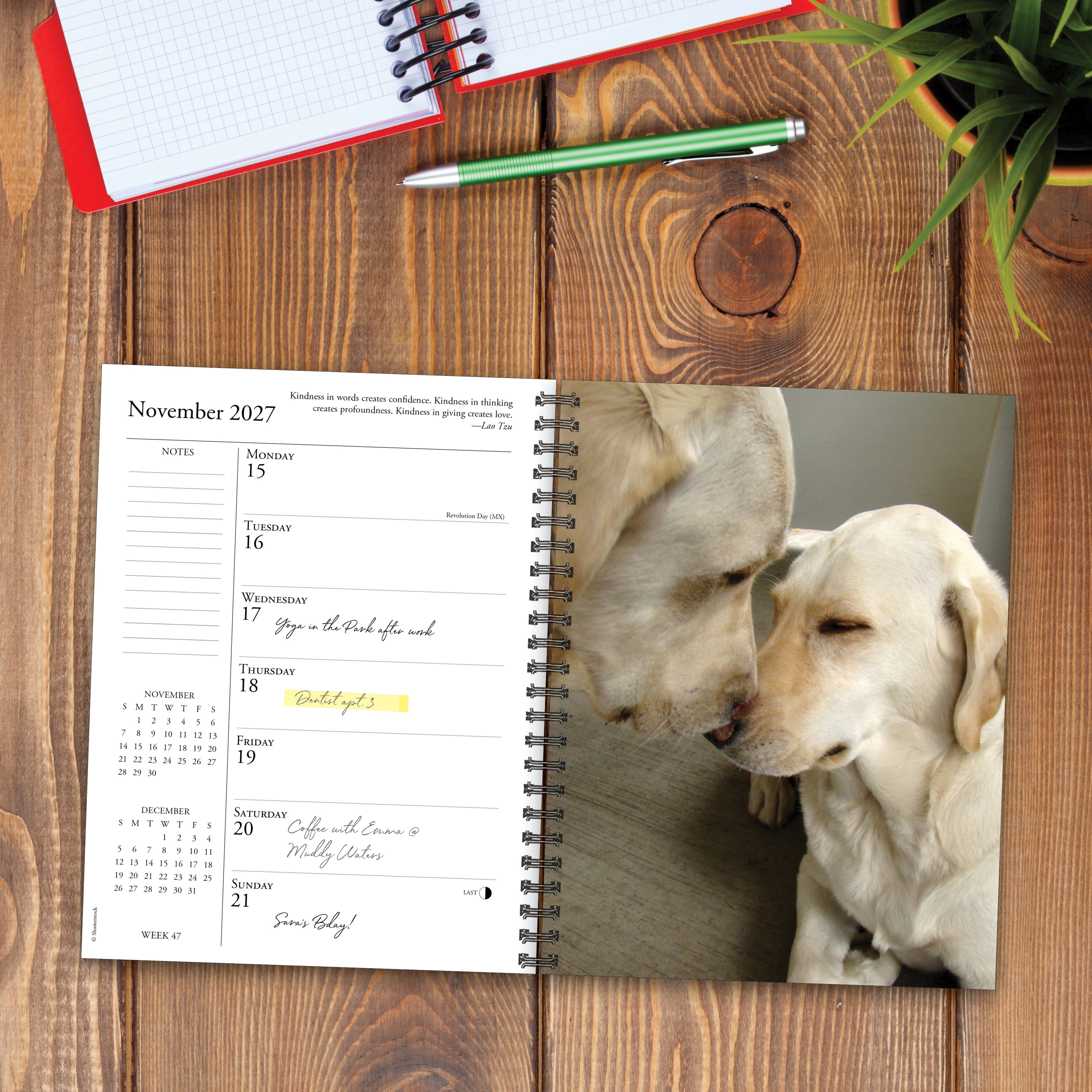 Willow Creek Press, What Labs Teach Us 2027 Engagement Calendar