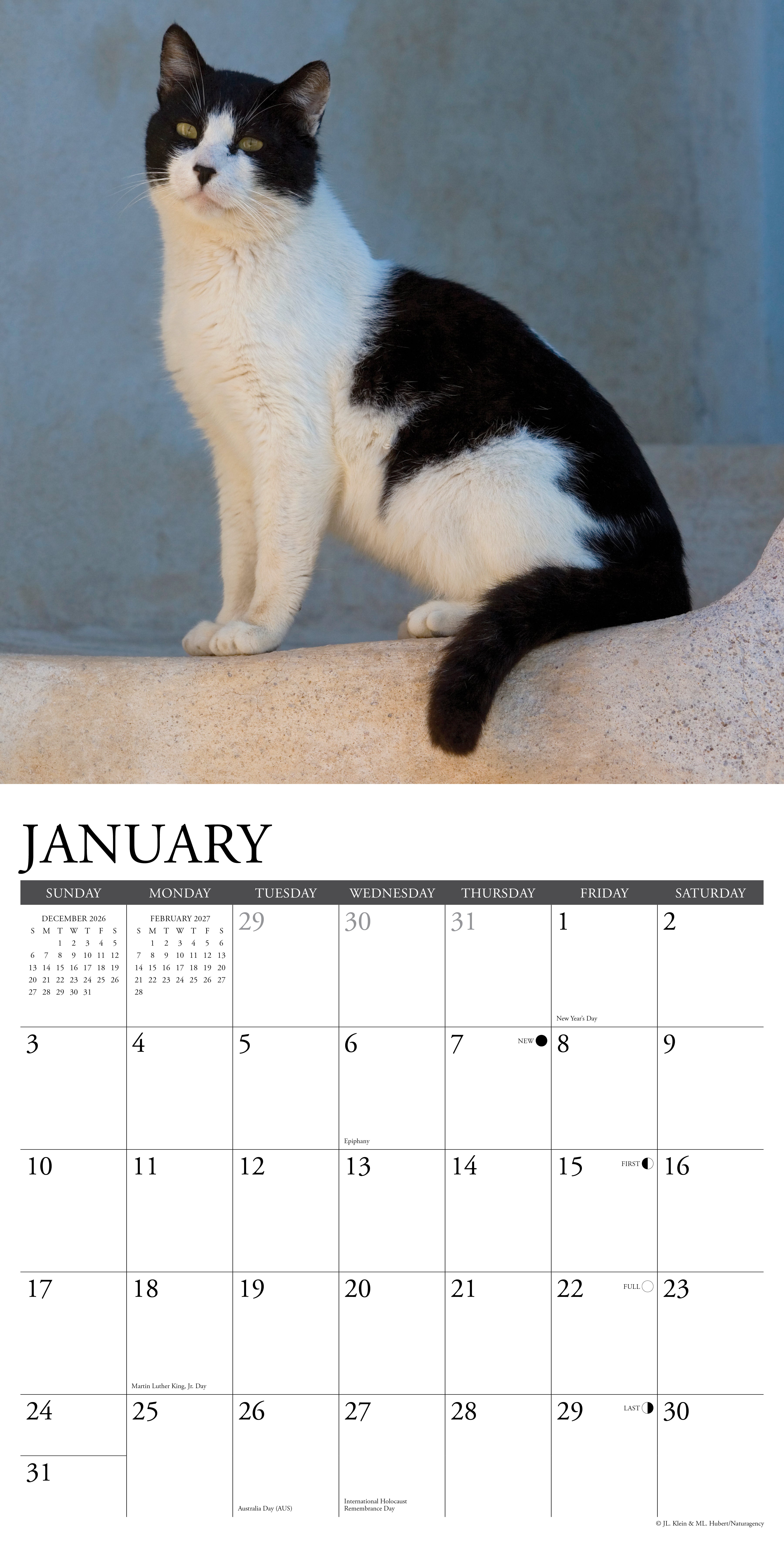 Willow Creek Press, Tuxedo Cats 2027 Wall Calendar