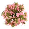thumbnail image 4 of Aquarium Plastic Grass Ball, Bright Color Fish  Artificial Grass Ball Colorfast Easy To Clean Compact  For Landscaping Green,Yellow,Pink, 4 of 8