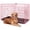 Pink, variant on BORGEBY 48 Inch Dog Crates for Large Dogs Folding Metal Wire Crates Dog Kennels Outdoor and Indoor Pet Dog Cage Crate with Double-Door,Black