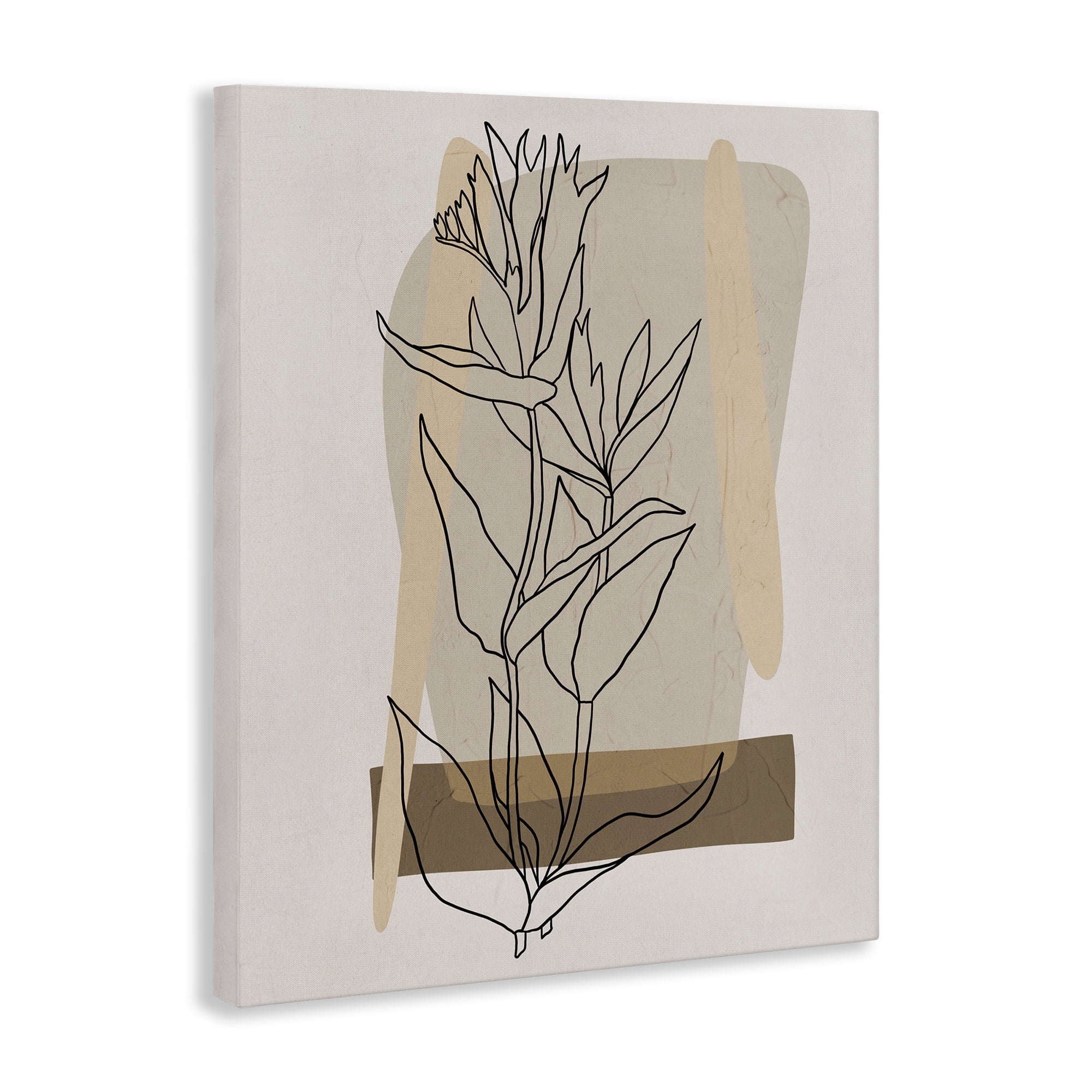 Stupell Industries Southwestern Plant Leaves Botanical & Floral Painting Gallery Wrapped Canvas Art Print Wall Art, 16 x 20