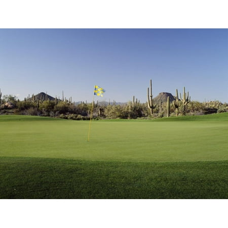 Golf Flag in a Golf Course, Troon North Golf Club, Scottsdale, Maricopa County, Arizona, USA Print Wall