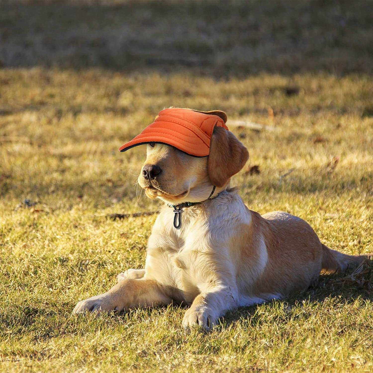 Pet Baseball Hat Outdoor Dog Sports Cap 