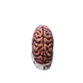 thumbnail image 3 of Máscara Caretas REV Ghoulish Productions BRAIN CAP, 3 of 3