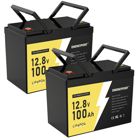 2Pack 12V 100Ah Mini LiFePO4 Lithium Battery,100A BMS 1280Wh BCI Group 24 Lithium Iron Phosphate Battery 6000 Cycles Perfect for RV, Solar, Home Energy Storage