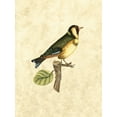 thumbnail image 2 of Selby, John 19x24 White Modern Wood Framed Museum Art Print Titled - Selby Birds I, 2 of 4