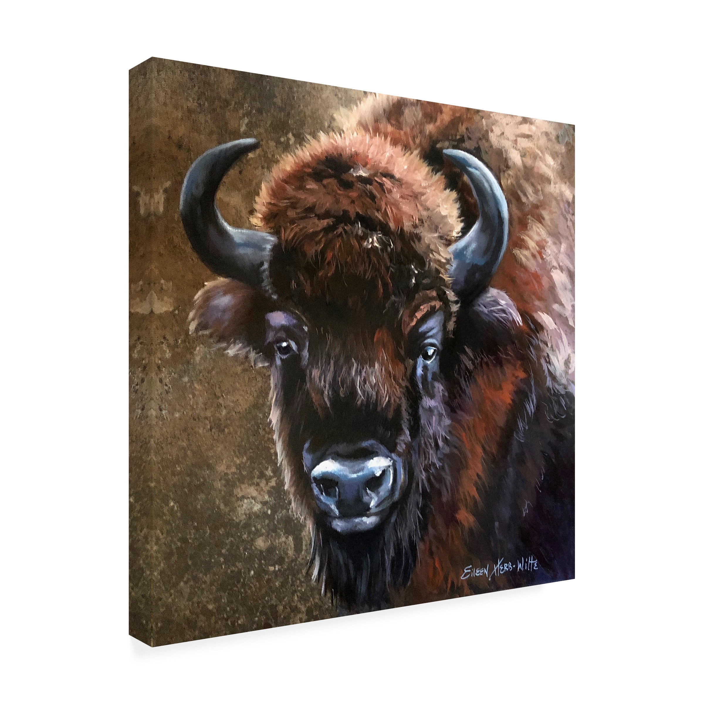 Eileen Herb-Witte 'Buffalo Bob' Canvas Art