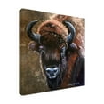 thumbnail image 2 of Eileen Herb-Witte 'Buffalo Bob' Canvas Art, 2 of 3