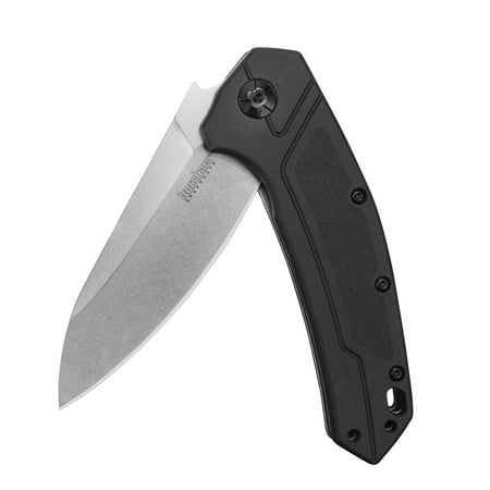 Kershaw Rove (1965) Folding Pocket Knife EDC with Drop-Point Blade; Features SpeedSafe Assisted Opening, Flipper, Liner Lock, Lanyard Hole, Deep-Carry Pocketclip, Wear Resistantance & Edge (Best Deep Carry Edc Knife)