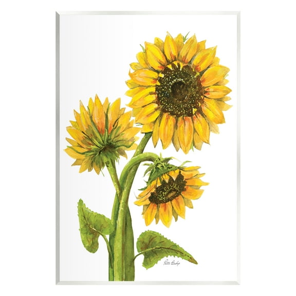 Stupell Industries Sunflower Trio on White Botanical & Floral Painting Unframed Art Print Wall Art, 10 x 15