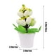 thumbnail image 3 of Easter Eggs Decoration Mini Indoor Potted Ornaments Holiday Theme Home Decoration Add Festive And Ideal Gift Choice, 3 of 6