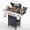 3+1 Burner, variant on Highsound 4-Burner Propane Gas Grill with Side Burner, 51,000 BTU Outdoor Barbecue Grill, Stainless Steel BBQ Grill for Backyard Cooking, Black