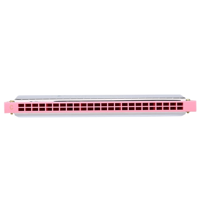 24 Holes C Key Harmonica Metal Mouth Organ Musical Wind Instruments with Case and Cloth for Beginners