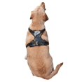 thumbnail image 2 of Naloa Cartoon Iceberg Bald Eagle Pet Harness Vest with Traction Rope, Adjustable No-Choke Dog Vest for Outdoor, Walking - Medium, 2 of 4