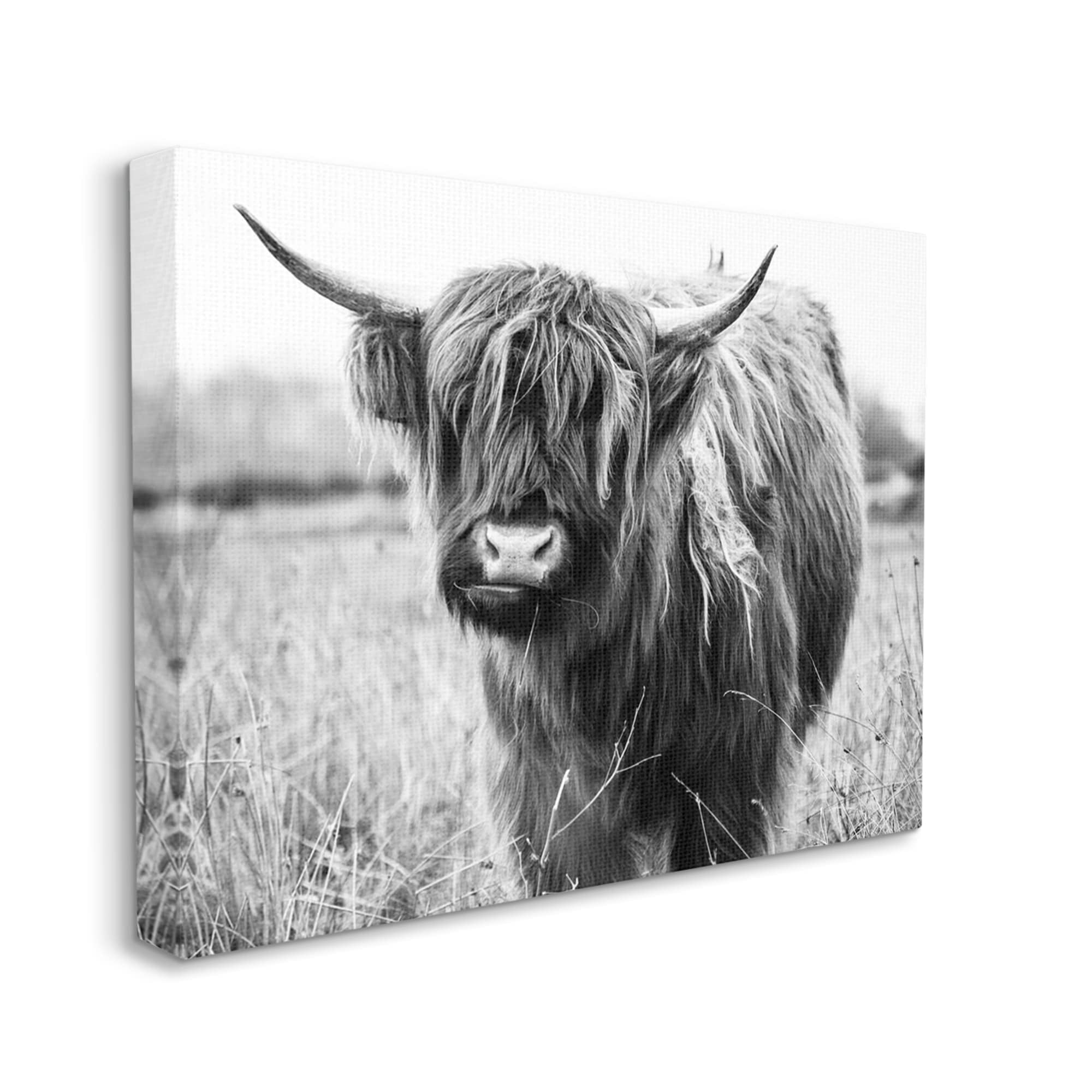 Stupell Industries Monochrome Farmland Longhorn Cattle Cow Photography Canvas Wall Art, 20 x 16, Design by Amy Brinkman