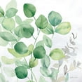 thumbnail image 3 of Coulter, Cynthia 12x12 Black Modern Framed Museum Art Print Titled - Eucalyptus Leaves II, 3 of 5