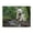 500 Pieces, variant on Running Forest Mud Puddle 500-Piece Wooden Jigsaw Puzzle for Adults, Fun & Challenging Family Brain-Teaser, Perfect Home Decor & Gift