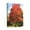 Tree (21), variant on 12x16 Scenery Pathway Forest Canvas Prints - Rays Bay Inspired Artwork for Living Room Wall Decor - Beautifully Drawn and Ready to Hang