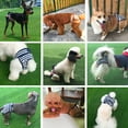 thumbnail image 6 of SPRING PARK Belly Bands Reusable for Male Dogs Washable Dog Wrap Diapers Female Pet Dog Physiological Pant Sanitary Shorts Panties, 6 of 6
