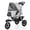 gray, variant on Three Wheel Folding Pet Stroller, Dog Jogger Travel Cats Carrier Adjustable Canopy Storage Brake Mesh Window
