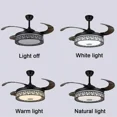thumbnail image 4 of More Change 42" Bluetooth Invisible Music Ceiling Fan Lamp LED 3-Color Dimmer Chandelier, 4 of 13