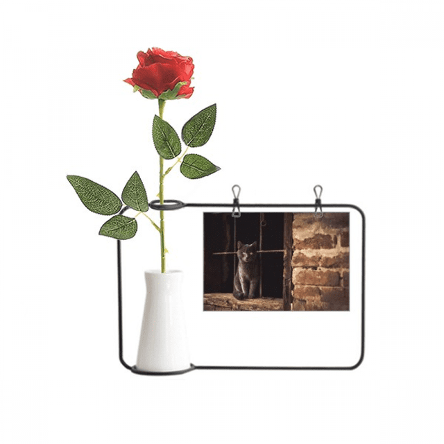 Animal Corner Cat Photograph Picture Artificial Rose Flower Hanging Vases Decoration Bottle