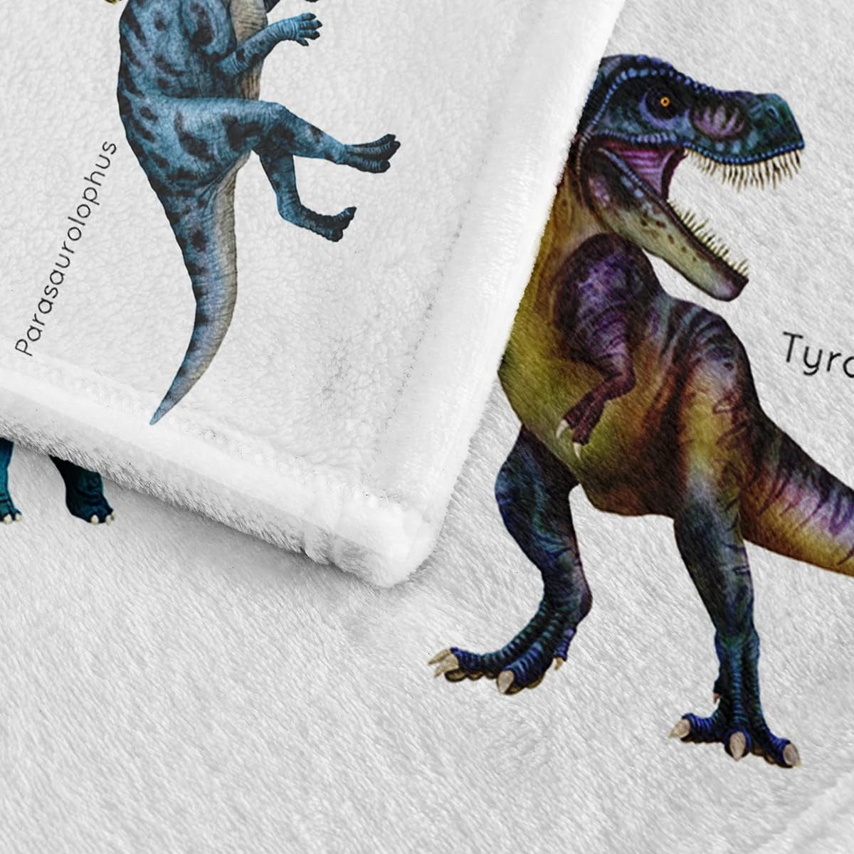 Kids Fleece Dinosaur Blanket for Boys Soft Throw Blanket with Dinosaur Print Birthday Christmas Halloween Dinosaur Decor for Children 60"x80"