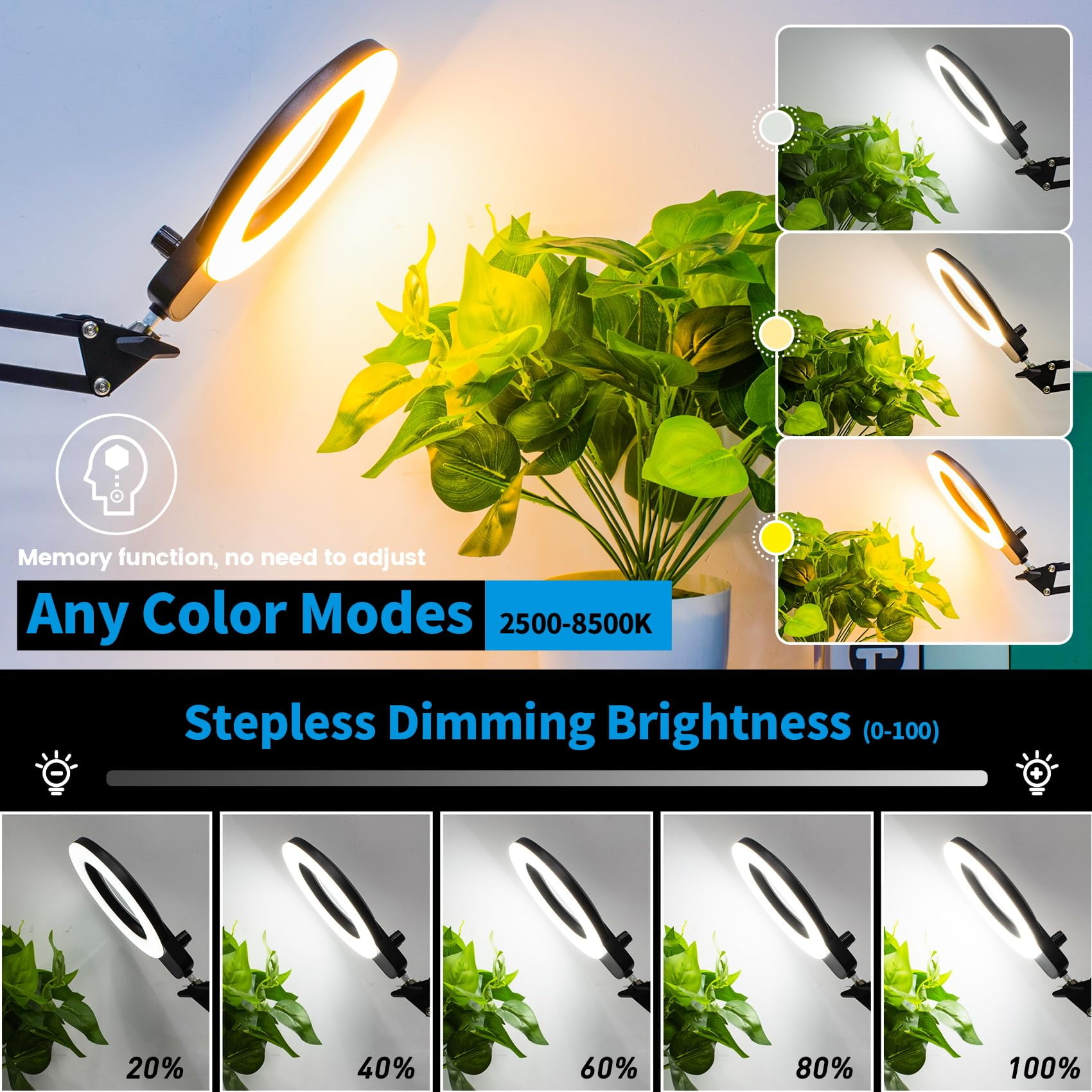 KIRKAS Magnifying Glass with Light, Long Swing Arm, Any Color Modes & Stepless Dimming LED Magnifying Lamp with Clamp, Memory Function Lighted Magnifier for Crafts, Reading, Hobby, Close Work