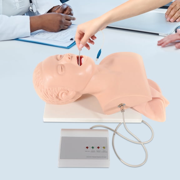 Oral & Nasal Intubation Training Model with Electronic Display, Alarm, Music & Pupil Comparison for Medical Training (220V) - Complete Kit